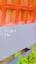 video 1.mp4